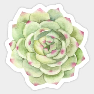 Desert Rose, Succulent Greenery Sticker